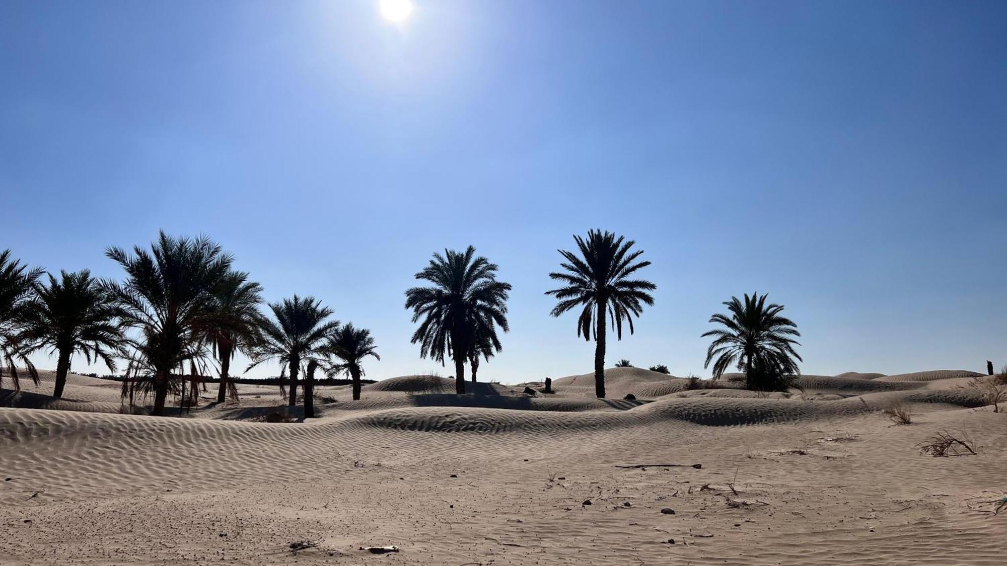 Luxury Camp Dunes Insolites Sabria Exterior photo