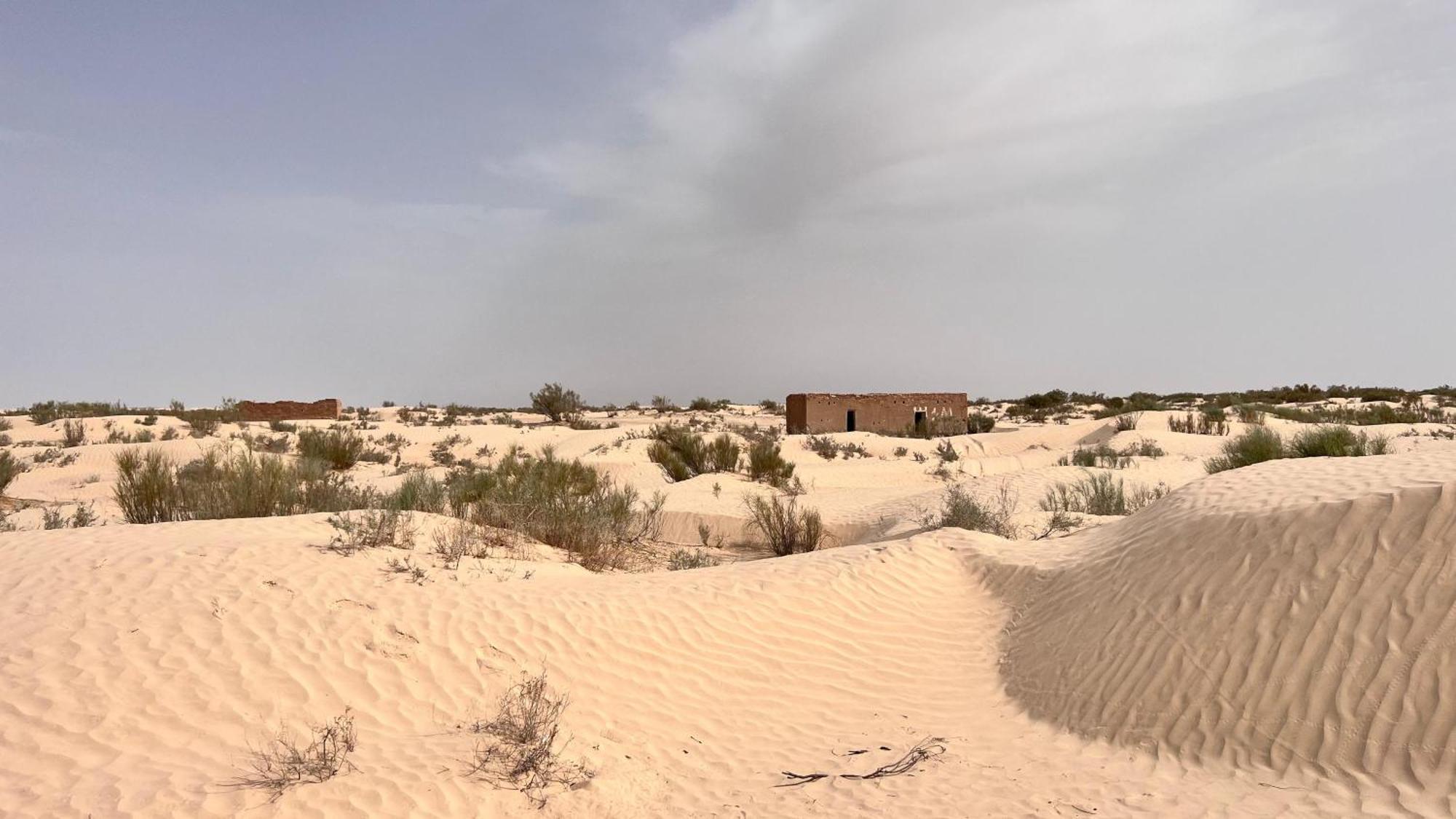 Luxury Camp Dunes Insolites Sabria Exterior photo