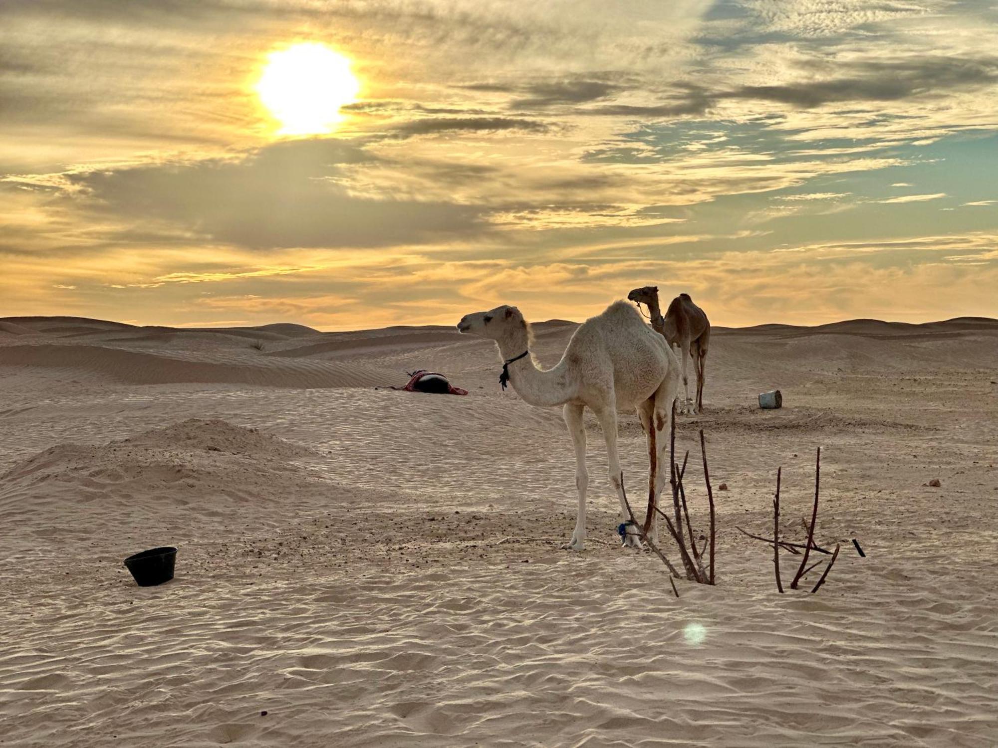 Luxury Camp Dunes Insolites Sabria Exterior photo